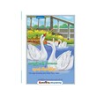 The Ugly Duck