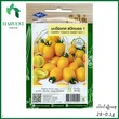 Harvest Shop ချယ်ရီခရမ်းချဉ်အဝါမျိုးစေ့ HTM 003