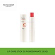 Thefaceshop Lip Care Stick 02 8801051421552