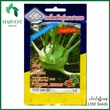 Harvest Shop နိုကိုဥမျိုးစေ့ 3A 193