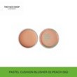 The Face Shop Pastel Cushion Blusher 01 8806182578540