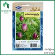 Harvest Shop ခရမ်းခေါင်းသီးမျိုးစေ့ EP 015
