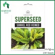 Harvest Shop Sorrel Red Veined Seeds S 022