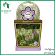 Harvest Shop ပင့်ကူပန်းမျိုးစေ့ A 023