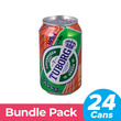 Tuborg Beer 24X330ML