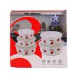 Enamel Storage Bowl With  Plastic Cover 5PCS