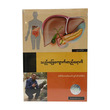Gall Bladder Stone (Author by Dr.Khin Mg Lwin)