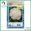 Harvest Shop ပန်းဂေါ်ဖီမျိုးစေ့ HD 003