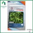 Harvest Shop Dwarf Blue Curled Scotch Kale Seeds JW 09