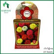 Harvest Shop ဒေါင်းဖန်ဝါအသေးမျိုးစေ့ A 021