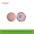 The Face Shop Pastel Cushion Blusher 06 8806182579813