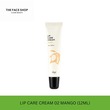Thefaceshop Lip Care Cream 02 8806182578656