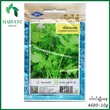 Harvest Shop မုန်ညင်းမျိုးစေ့ LF 017