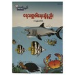 ရေသတ္တဝါ ရေးဆွဲနည်း