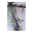 Taer World (Author by University Phone Naing)