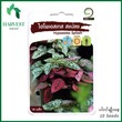 Harvest Shop မြကွက်ရွက်လှပန်းမျိုးစေ့ AP 12
