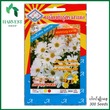 Harvest Shop ဂန္ဓမာပန်းမျိုးစေ့ 3A2-6