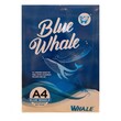 Whale Copy Paper A4 80G