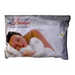 Dream Down Pillow 19X29IN (Pro)