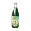 Juicy Squash Green Soda 750ML
