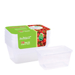 DDT Take Away Rectangular Food Container 1000ML 10PCS L011201-4