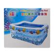 Swimming Pool 140X110X55Cm Zh-2558-3