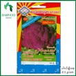 Harvest Shop ခရမ်းရောင်ပန်းဂေါ်ဖီမျိုးစေ့ 3A3-29