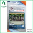 Harvest Shop JJ Radish Sango  Microgreen Seeds JMG 02