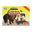 Animals Right Brain Flash Card (Author by Nwe Ni Kan Win)