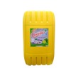 Cleanlux Liquid Soap (Green) 18 LTR