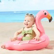 Baby Cele Intex အရုပ်ဘောကွင်း (ကြိူးကြာ) 12722