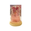 Pk Valentine Fancy Toy (Pro)