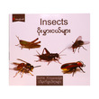 Insects