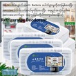 Refrigerator Deodorant Box (HATPB004)