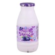 Dutch Mill Proyo Yoghurt Blueberry 100ML