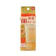 Kanebo Freshel Bb Cream Moist 50G
