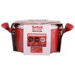 Tefal So Chef Induction Stock Pot 22CM G1354595