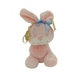 Pk Valentine Stuff Toy Key Chain
